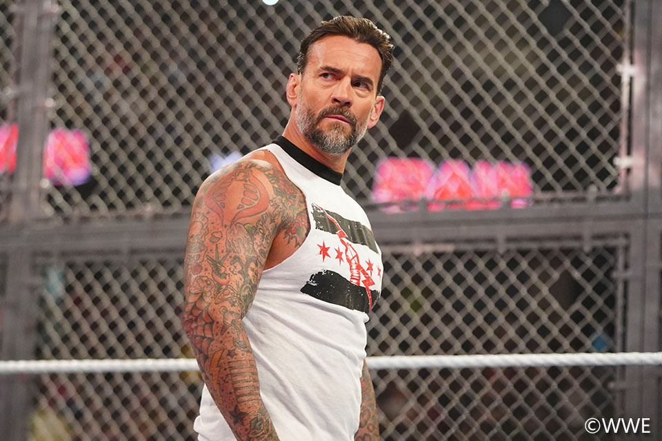 10/6【WWE】パンクが地獄の金網戦で怨敵マッキンタイアを血祭り葬 3