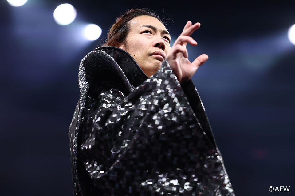 プロレス格闘技DX