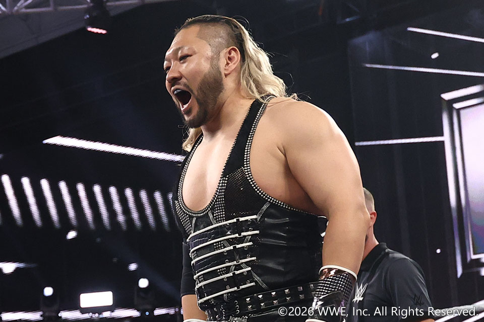 プロレス格闘技DX