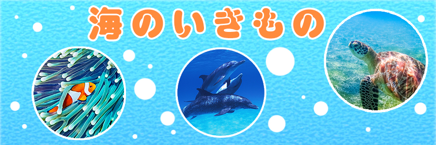 特集