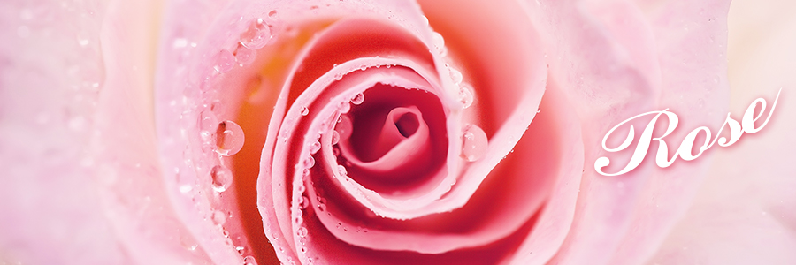 運気上昇?!壁紙特集