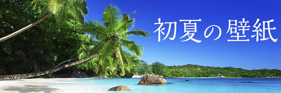 特集