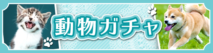 イベントTOPサム画像