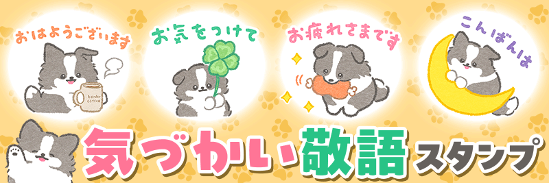 礼儀正しいボーダーコリー