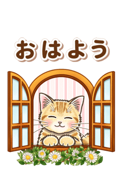 「やさしい猫のポップアップ☆改訂再販版」