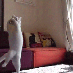 動物スタンプ