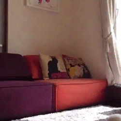 動物スタンプ