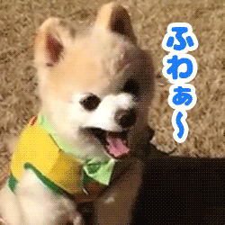 動物スタンプ