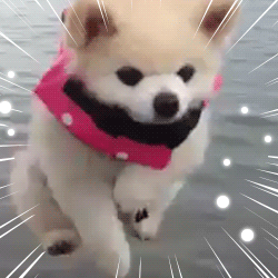 動物スタンプ