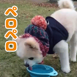 動物スタンプ