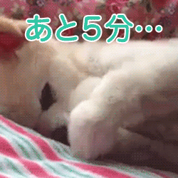 動物スタンプ