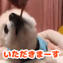 動物スタンプ