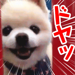 動物スタンプ