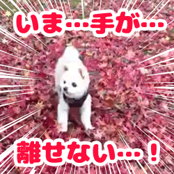 動物スタンプ