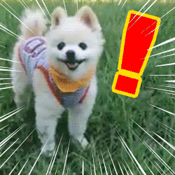 動物スタンプ
