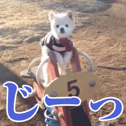 動物スタンプ