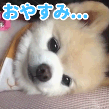 動物スタンプ