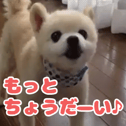動物スタンプ