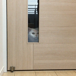 動物スタンプ