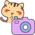 Hアイコン_関西弁にゃんこ