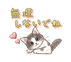 「【再配信】やさしい子猫のスタンプ with 動物ダジャレ / 10」