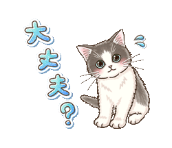 「【再配信】やさしい子猫のスタンプ with 動物ダジャレ / 16」