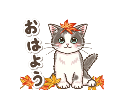 「★再配信★やさしい子猫の動くスタンプ３　〜秋冬〜 / 01」