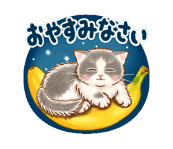 「ちっちゃい猫のスタンプ☆日常会話 / 03」