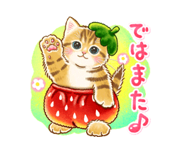 「ちっちゃい猫のスタンプ☆日常会話 / 05」
