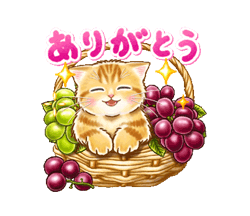 「ちっちゃい猫のスタンプ☆日常会話 / 27」