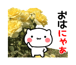 「動く！にゃんこと薔薇の花　基本セット / 02」