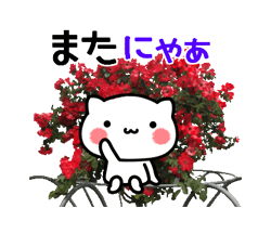 「動く！にゃんこと薔薇の花　基本セット / 06」