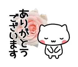 「動く！にゃんこと薔薇の花　基本セット / 18」