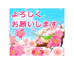 「桜スタンプ特集_オリジナル【2024年】 / 01」
