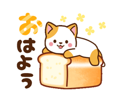 動く！ミル＆モカ 毎日使える定番 / 01