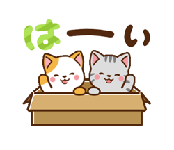 動く！ミル＆モカ 毎日使える定番 / 11