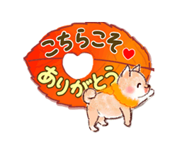 「秋＊柴犬とフクロウ / 07」