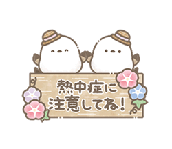 うごく！ちっちゃいシマエナガさんの夏。 / 19