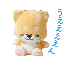 動く3D いやしばいぬ 敬語/柴犬 / 13