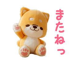 動く3D いやしばいぬ 敬語/柴犬 / 16