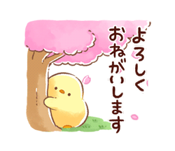 「【限定スタンプ】もふピヨ / 3月の花（桜）」