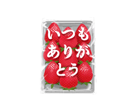 「動く♪苺の詰め合わせ  / 05」
