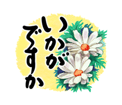 「きらり和風のお祝い〜花のたおやか筆文字4 / 01」