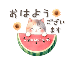 「猫がいっぱい 夏のあいさつ / 17」