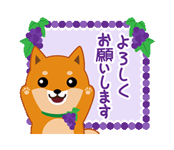 「柴犬「ムサシ」１４ 秋　/ 09」