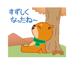 「柴犬「ムサシ」１４ 秋　/ 13」