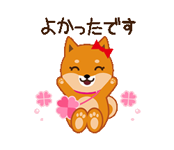 柴犬「ムサシ」２３ 気遣い 敬語 / 20