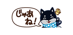 「柴犬「ムサシ」３４　省スペース / 03」