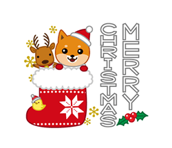 「柴犬「ムサシ」５２　お正月とクリスマス / 21」