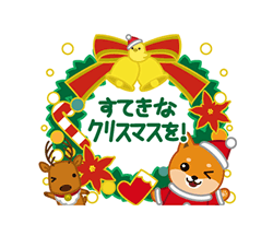 「柴犬「ムサシ」５２　お正月とクリスマス / 23」